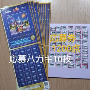 ◆懸賞応募◆カルビーファンタスティックキャンペーン2025◆応募券1200点と応募ハガキ10枚