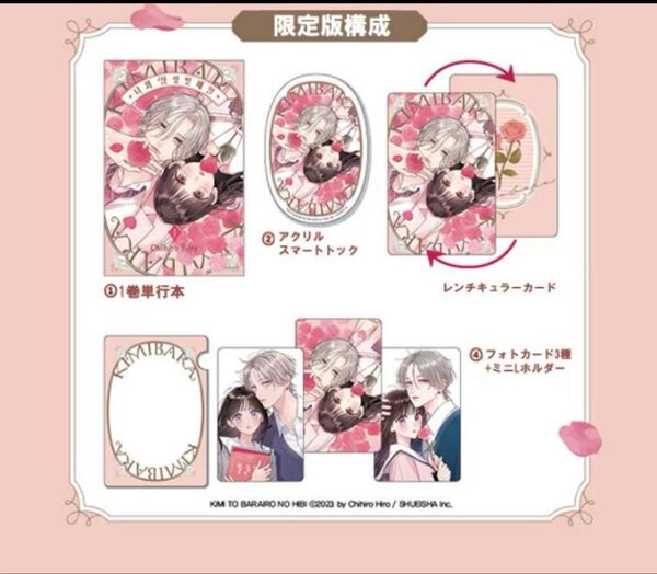 きみとバラ色の日々 韓国版 特典付き ひろちひろ
