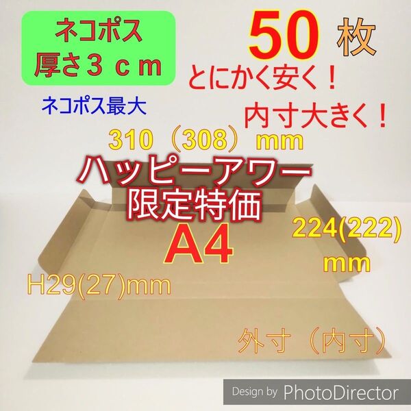 発送用ネコポス最大サイズ 厚さ3㎝ 対応A4 ダンボール 箱