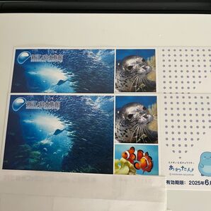 新江ノ島水族館 ご招待券2枚