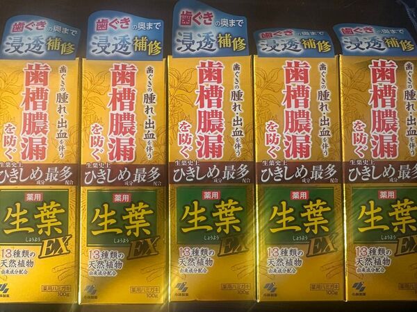 生葉EX 歯磨き粉