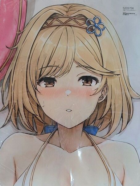 晃田ヒカ ジータ 抱き枕 少女の杜 グランブルーファンタジー グラブル