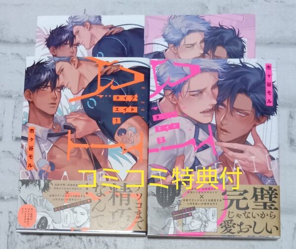 タイプ エイド2冊セット◇市ヶ谷モル BL コミコミ特典付