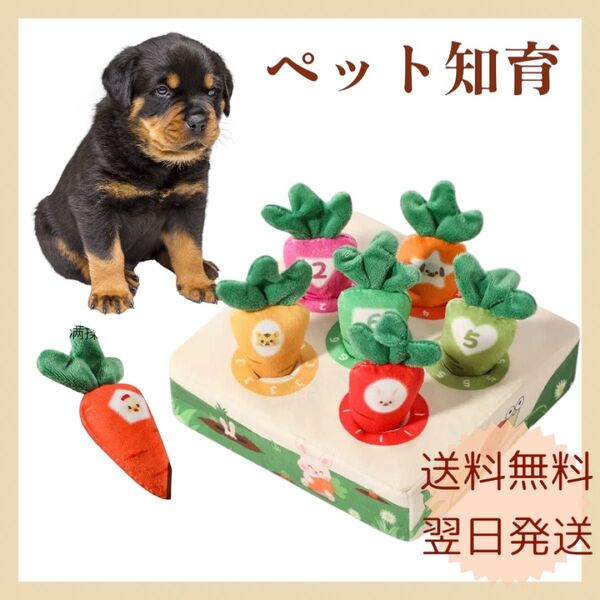 ノーズワーク 犬 猫 知育 おもちゃ 餌 ペット知育 犬用品 ペット用品