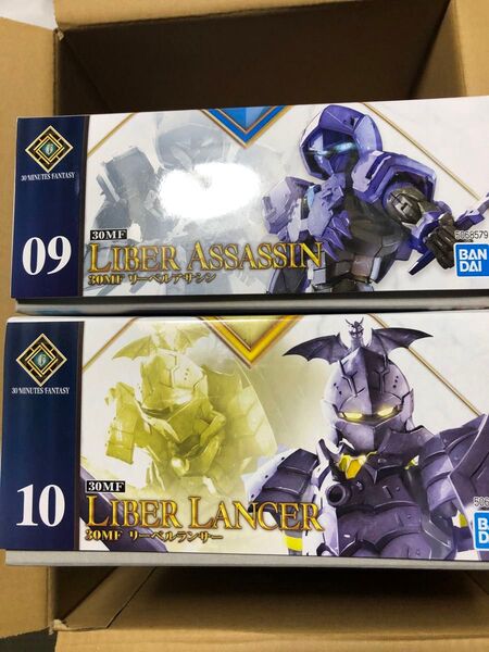 30mf リーベルアサシン リーベルランサー