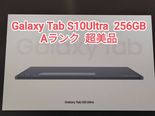 【超美品】Galaxy Tab S10Ultra 韓国版 256GB ムーンストーングレー