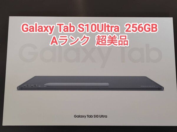 【超美品】Galaxy Tab S10Ultra 韓国版 256GB ムーンストーングレー
