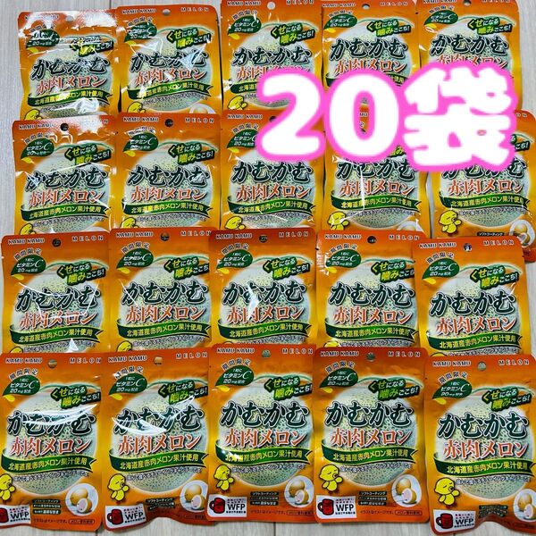 かむかむ 赤肉メロン チューイングキャンデー 20袋 期間限定 三菱食品 チューイングキャンディ キャンディー お菓子 詰め合わせ