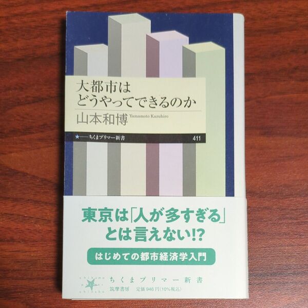 大都市はどうやってできるのか (ちくまプリマー新書 411) 山本和博/著