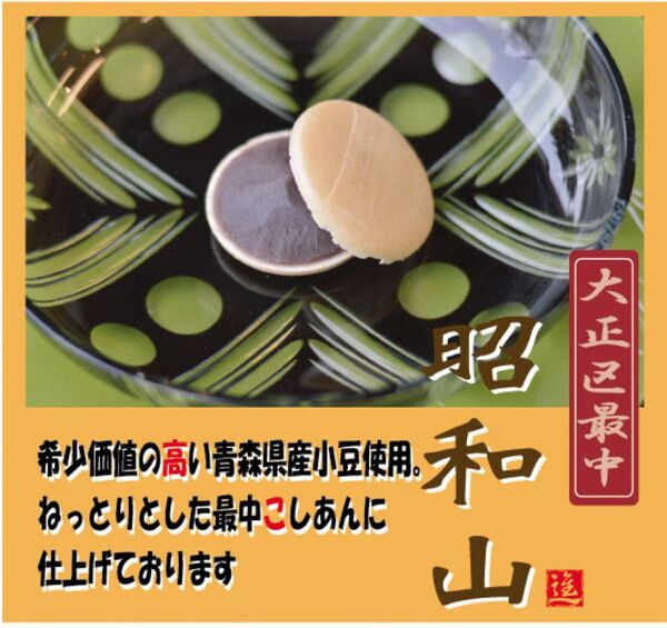口溶けの良い滑らかこしあん最中10個入り 手作り和菓子5-13