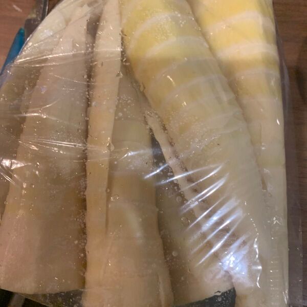 湯がいたハチク コンパクト便いっぱい たけのこ