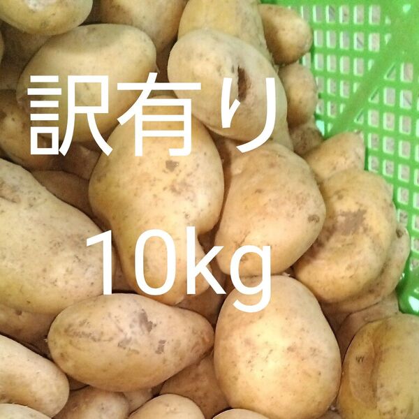 新じゃがいも 訳有り