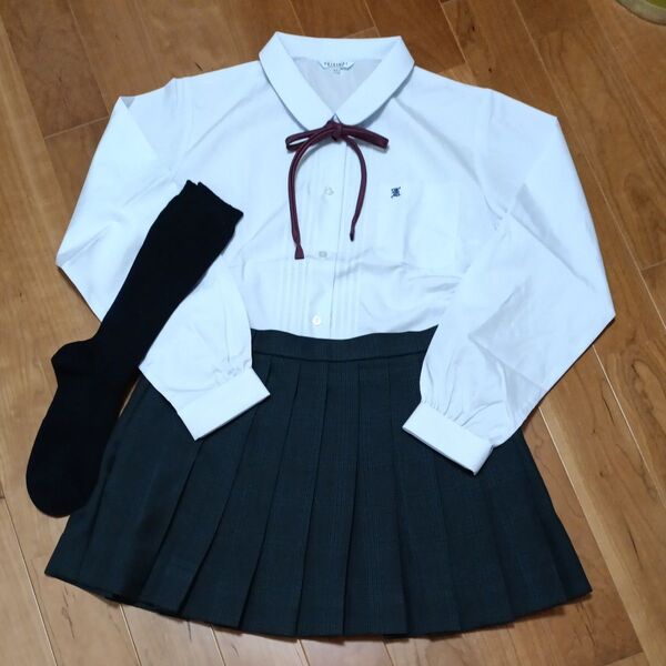 LLサイズ コスプレ マイクロミニスカート 公立高校女子制服