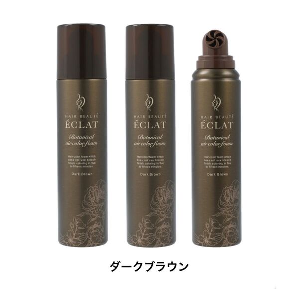 ヘアボーテ エクラ ボタニカルエアカラーフォームup ダークブラウン 150g 2本セット 脱色剤不使用のヘアカラー