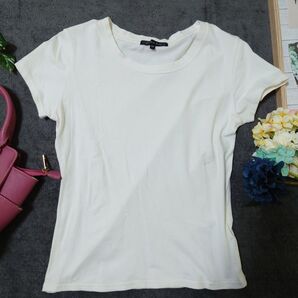 SHELLRAY Tシャツ カットソー(38)白 ストレッチ素材混合 コットン混合