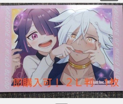 2L判 カレコレブロマイド シディとヨーメイ
