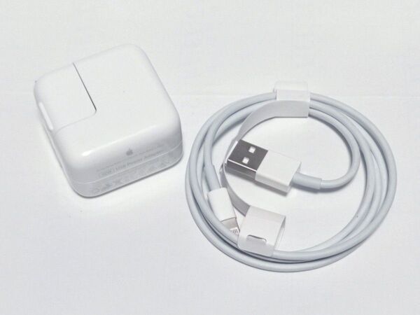 純正 Apple A1357 10W ACアダプター USB 充電器 パワーアダプター iPhone MC359J/A ケーブル付