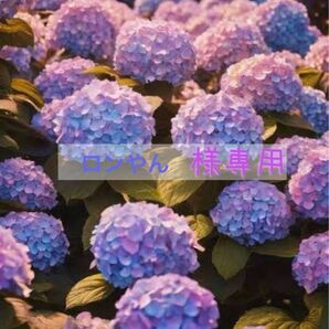 【ロンやんさま専用ページ】