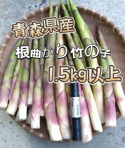 根曲がり竹の子
