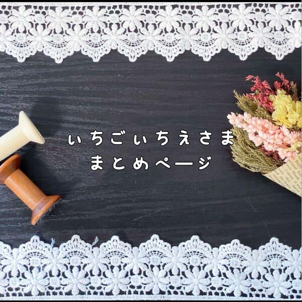 S1289【4.2m】両山花柄刺繍チュールレース生地