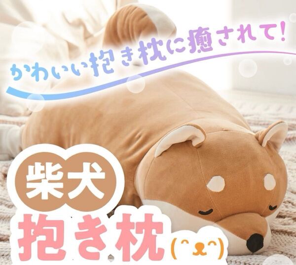 ★未開封★ 柴犬抱き枕 いぬのきもち付録