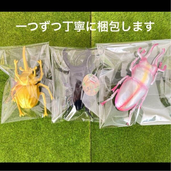 カブトムシ 3点セット