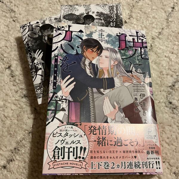 暁に恋を知れ 上巻