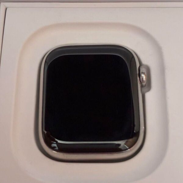 Apple Watch series9 41mm シルバーステンレス アップルケア、公式バンド付き