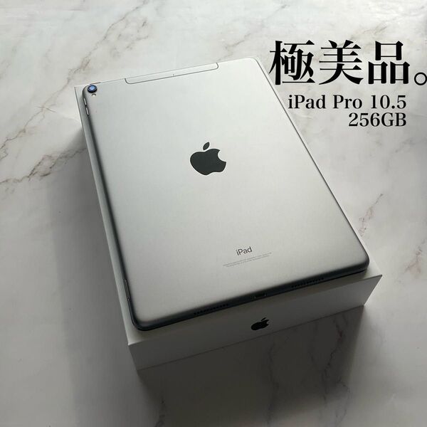 【極美品】Apple iPad Pro 10.5 Wi-Fi Cellular 256GB