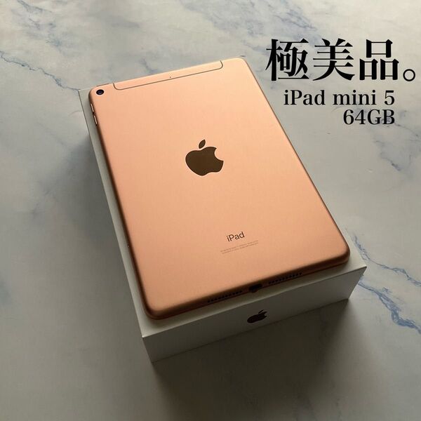 【極美品】Apple iPad mini 5 Wi-Fi Cellular 64GB
