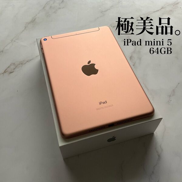 【極美品】Apple iPad mini 5 Wi-Fi Cellular 64GB