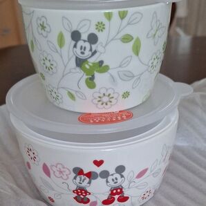 ディズニー レンジパック 2個セット Disney 保存容器