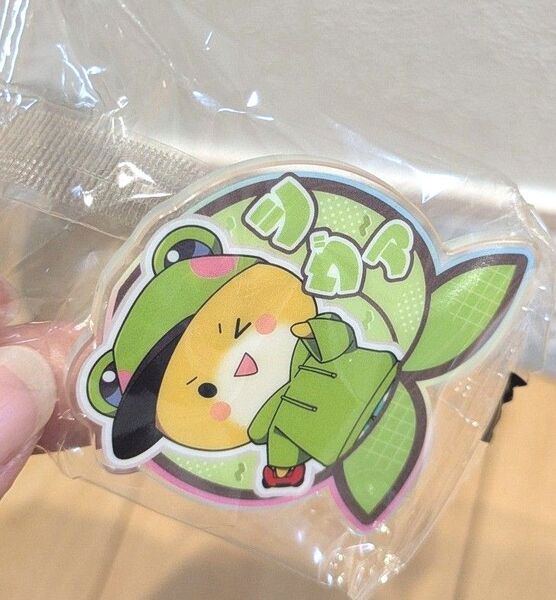 カラフルピーチ アクリルクリップ 11種 シヴァさん ガチャ カラピチ グッズ 推し