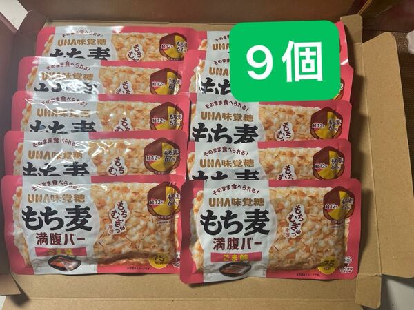 UHA味覚糖(ユーハ味覚糖) もち麦満腹バー ごま鮭 "9個"