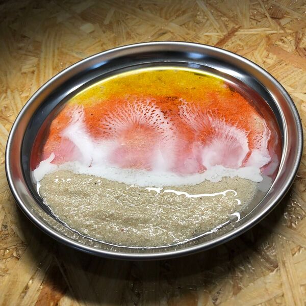 #028 レジン おしゃれ小物入れ ハンドメイド