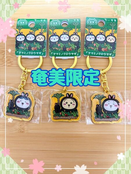 ちいかわ ダイカットキーホルダー 奄美限定「アマミノクロウサギ」うさぎ ハチワレ ちいかわ 3点セット