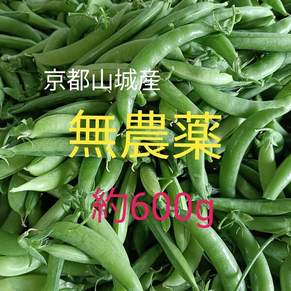 【京都山城産】無農薬野菜 スナップエンドウ 約600g② エダマメ 枝豆すなっぷえんどう