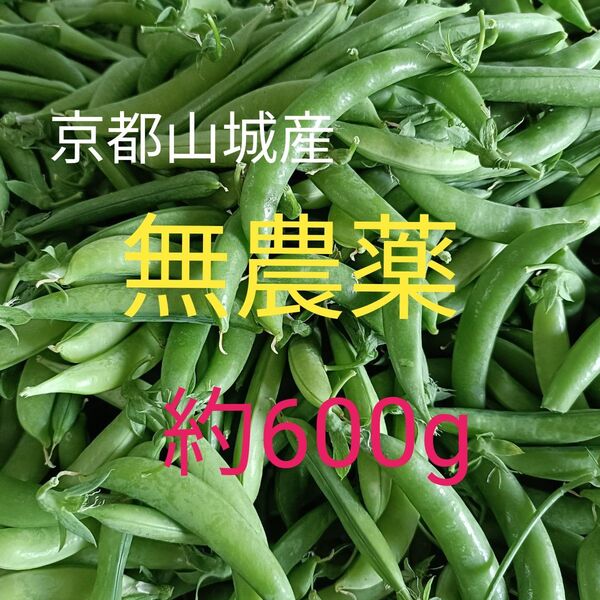 【京都山城産】無農薬野菜 スナップエンドウ 約600g⑤枝豆すなっぷえんどう