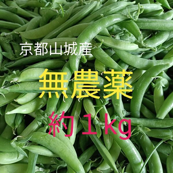 【京都山城産】無農薬野菜 スナップエンドウ 約1kg② エダマメ 枝豆すなっぷえんどう