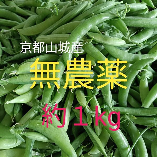 【京都山城産】無農薬野菜 スナップエンドウ 約1kg① すなっぷえんどう京野菜