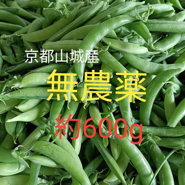 【京都山城産】無農薬野菜 スナップエンドウ 約600g⑦す枝豆すなっぷえんどう