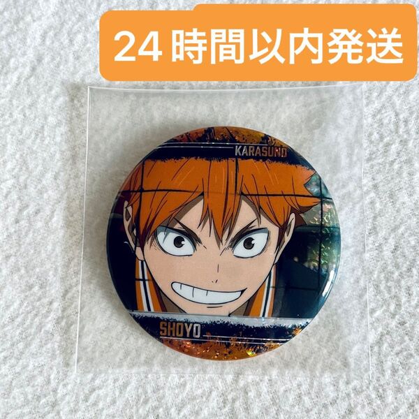 劇場版ハイキュー!! ゴミ捨て場の決戦 缶バッジビスケット 日向翔陽