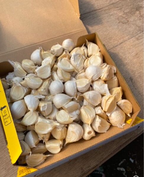 青森県バラにんにく1Kg ML