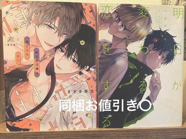 無自覚淫魔は満たされたい 明日が変わる恋をする 商業BL 2冊セット 4冊まで同梱お値引き〇