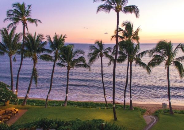 Hawaii Maui Sunset Sunset Beach Park Palm Tree Painting Style Wallpaper Poster Extra Large A1 Version 830 x 585mm Peelable Sticker 019A1, printed matter, poster, others