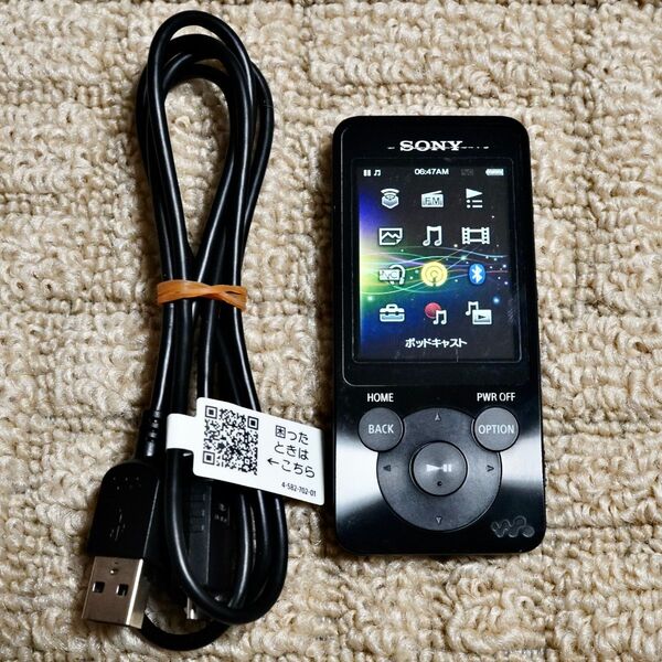 SONY WALKMAN ウォークマン S10シリーズ NW-S14(B) ブラック (#1)