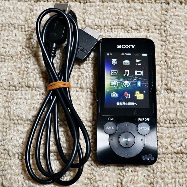SONY WALKMAN ウォークマン S10シリーズ NW-S14(B) ブラック (#2)