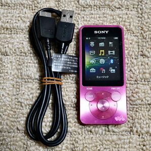 SONY WALKMAN ウォークマン S10シリーズ NW-S14(P) ビビッドピンク (#4)