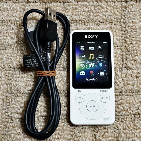 SONY WALKMAN ウォークマン S10シリーズ NW-S14(W) ホワイト (#5) ※美品