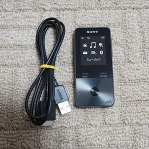 SONY ウォークマン NW-S315 B ブラック